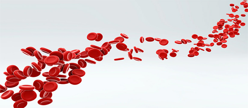 Analiza e gjakut HEMOGRAMI