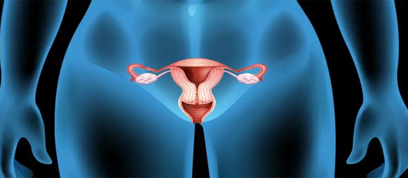 Vet-ekzaminimi i mostrës së mukusit vaginal
