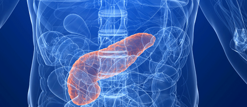 Çfarë është sistemi ekzokrin dhe edokrin?