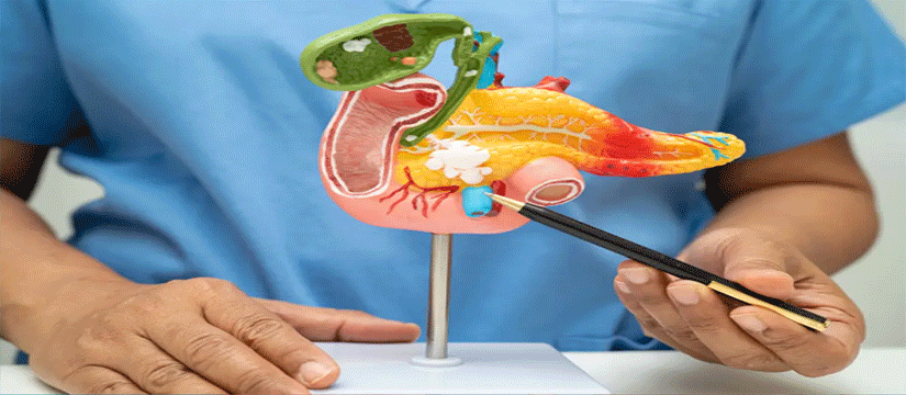 Çfarë funksioni ka pankreasi?